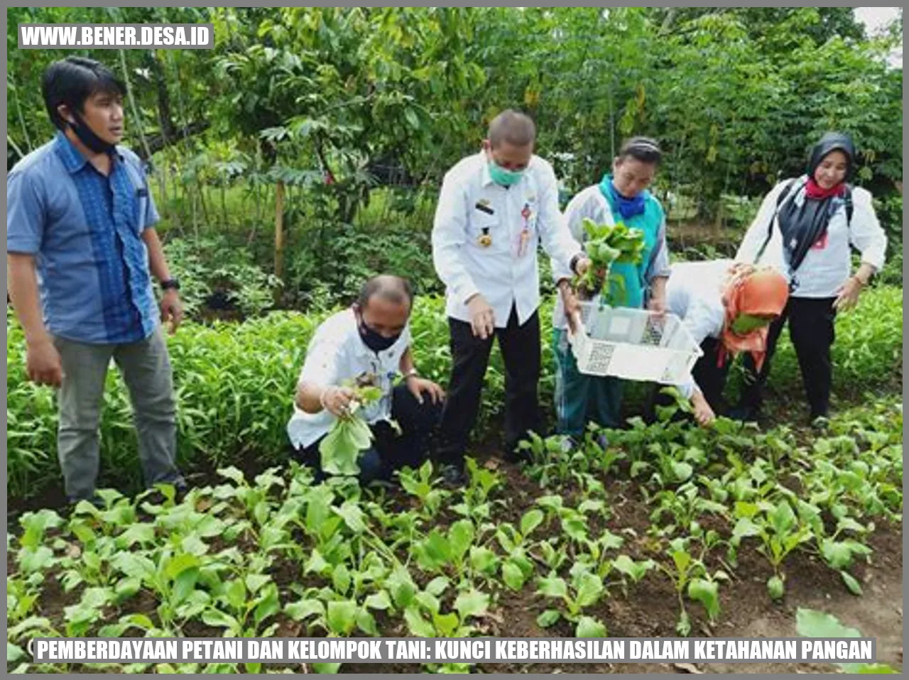 Tani Jaya: The Unbeatable Agricultural Hub in Sidaurip